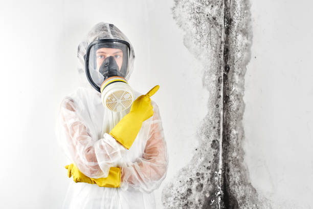 Best Industrial Mold Remediation  in Columbia Heights, MN