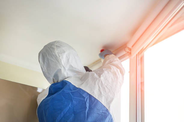 Best Attic Mold Removal  in Columbia Heights, MN